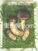 松茸の写真／つぼみ４本